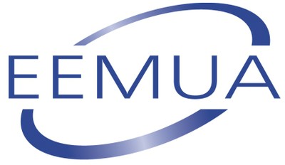 EEMUA PUB NO 243